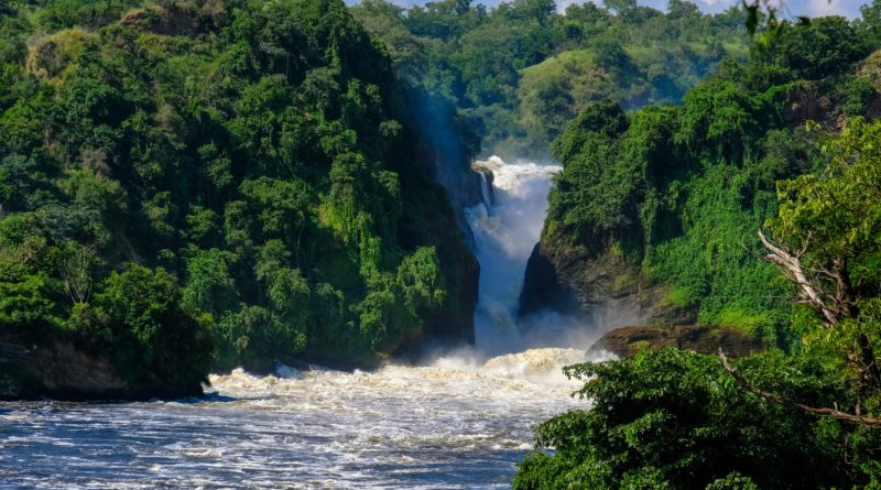 Investing in Carbon Credits